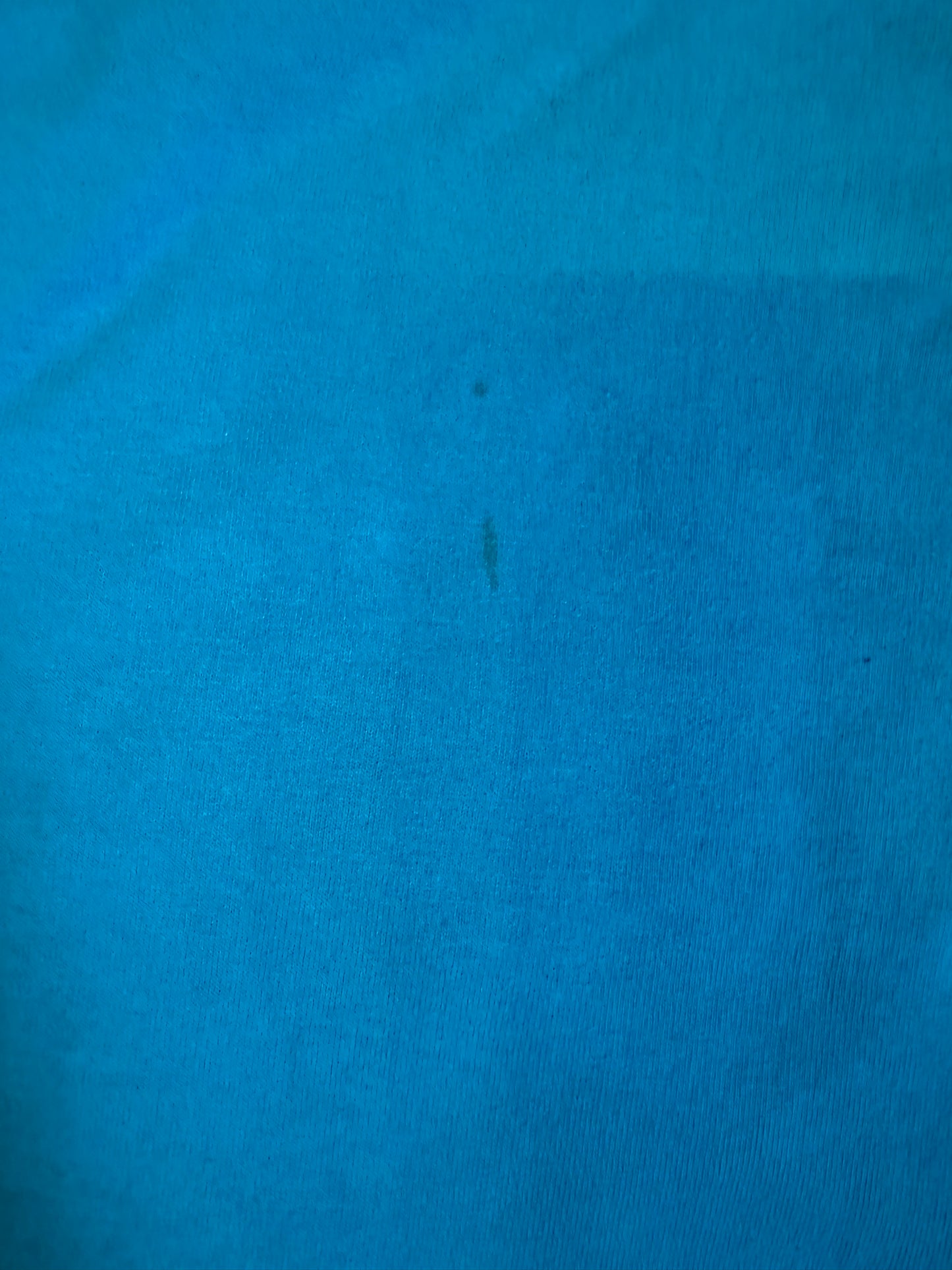 Ludtke Farm 1993 centennial Tee